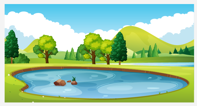 pond