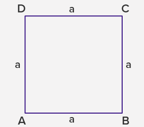 perimeter and area of a Square