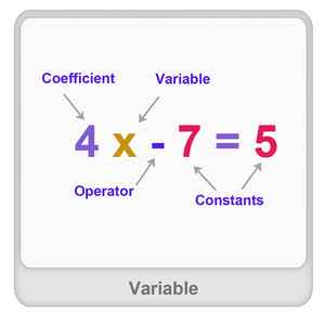 Variable Worksheet Variable Worksheet