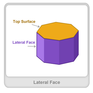Lateral face Worksheet Lateral face Worksheet